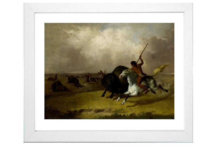 North American IndianFramed Print